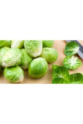 Brüksel Lahanası Tohumu thumbnail 1