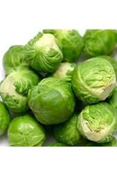 Brüksel Lahanası Tohumu thumbnail 2