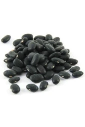 20 Adet Yediveren Siyah Fasulye Tohumu thumbnail 2