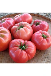 Farmlife Mis Kokulu Yayla Domatesi Tohumu thumbnail 2