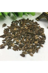 Pembe Renkli Afrika Papatyası Tohumu 20 Tohum thumbnail 3