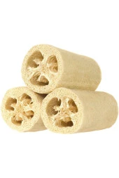 Eko Paket 20 Adet Tohum Nadir Ithal Lif Kabağı Tohumu Kabak Tohumu thumbnail 1