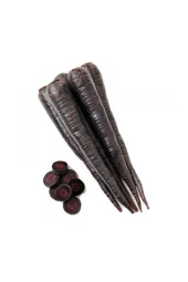 Süper Paket 2000 Adet Tohum Mor Havuç Tohumu Şalgam Havucu Tohumu thumbnail 2