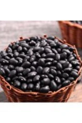 Nadir İthal Amerika Siyah Fasulye Tohumu 10 Tohum Kara Fasulye thumbnail 3