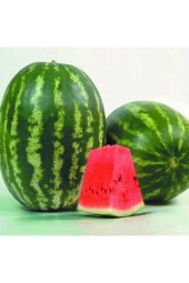 Adana Karpuz Tohumu 5 Adet Organik Tohum thumbnail 3