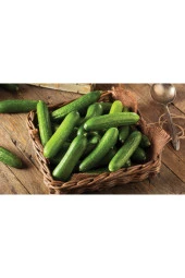 Hıyar Çengelköy Tohumu thumbnail 1