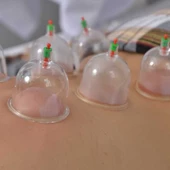 Periboia Hacamat Kupa Seti 6 Adet - 3