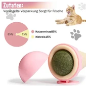 Periboia Dondurma Şeklinde Kedi Otu Nanesi - 2