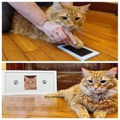 Periboia Kedi Köpek Pati İzi Fotoğraf Çerçevesi Seti - 5