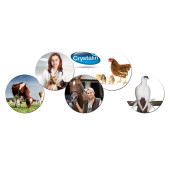 Crystalin Animal Health Hayvan Sağlığı İçin Yara Bakım Solüsyonu1 Lt. - 2
