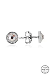 Swarovski Crystal Kadın Çivili Gümüş Küpe - 2