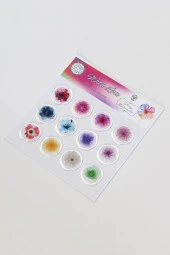 Mühürcüm 12 Adet Hazır Kendinden Yapışkanlı Parlak Sulu Boya Sticker Mühür KYSM103 - 1