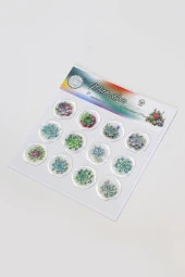Mühürcüm 12 Adet Hazır Kendinden Yapışkanlı Sukulent Bitki Sticker Mühür KYSM109 - 1