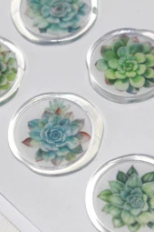 Mühürcüm 12 Adet Hazır Kendinden Yapışkanlı Sukulent Bitki Sticker Mühür KYSM109 - 4