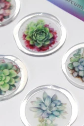 Mühürcüm 12 Adet Hazır Kendinden Yapışkanlı Sukulent Bitki Sticker Mühür KYSM109 - 6