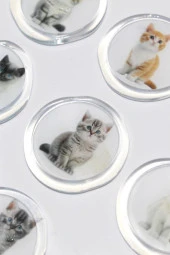 Mühürcüm 12 Adet Hazır Kendinden Yapışkanlı Gelin Damat Davetiye Sticker Mühür KYSM115 - 4