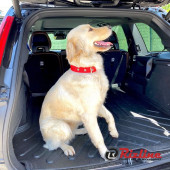 Rizline  Chery Tiggo 7 Pro Bagaj Havuzu - 6