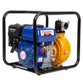 Palmera Pa20th Yüksek Basınçlı Su Motoru 6.5 Hp - 1