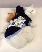 Teddy Roo Kapşonlu Kedi Sweatshirt Kedi Kıyafeti Kedi Elbisesi Kedi Giyim thumbnail 3