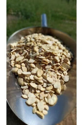 ŞENLER - Organik Soyulmuş Bakla - 500 Gram - 2