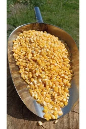 ŞENLER - Doğal Çorbalık Sarı Mısır - 1 Kg - 3