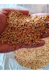 Muhabbet Kuşu Yemi Vitaminli Meyveli 3.5 Kg - 1