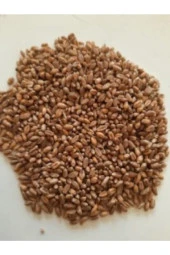 Şenler Zahire - Buğday Yemlik 25 Kg Kanatlı Hayvanlar - 3