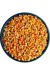 Şenler - Mısır 1 Kg Tavuk Yemi (Yemlik Mısır Kanatlı Yemi Kaz Ördek Yemi Kuş Yemi) - 1