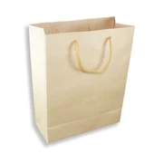 12 Adet 19x24cm Adet Kraft Karton Hediyelik Çanta - 2