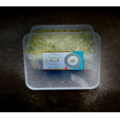 ALMENAL ANTEP FISTIKLI TAHİN HELVASI 5KG - 1