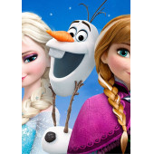 Frozen BOYAMA Kitap Seti (3 Süper Kitap) - 3