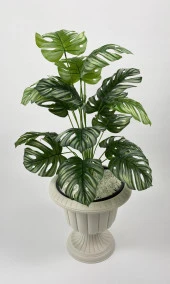 BİÇİÇEK   YAPAY ÇİÇEK SALON BİTKİSİ MONSTERA DEVE TABANI KIRIKBEYAZ RENK NERGİS SAKSIDA - 2