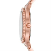 Michael Kors MK6893 Kadın Kol Saati thumbnail 1