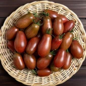 Chocolate Pear Domates Tohumu (15 tohum) - 1