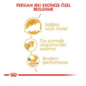 Royal Canin Persian İran Kedileri İçin Yetişkin Kuru Kedi Maması 4 kg - 2