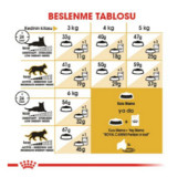 Royal Canin Persian İran Kedileri İçin Yetişkin Kuru Kedi Maması 4 kg - 3