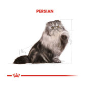 Royal Canin Persian İran Kedileri İçin Yetişkin Kuru Kedi Maması 4 kg - 5