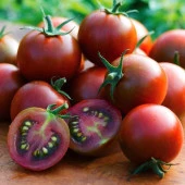 Chocolate Cherry Domatesi Tohumu (15 tohum) - 1