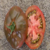 Zigan Domates Tohumu (15 tohum) - 1