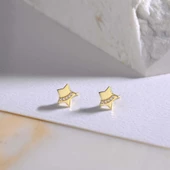 14 Ayar Altın Taşlı Yıldız Küpe 1,30 gr - 1