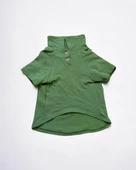 Grass Green Kedi Gömleği Kedi Kıyafeti  Kedi Elbisesi - 3