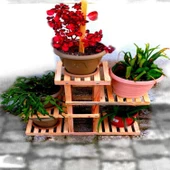 MODİLAYN Ahşap 5 Raflı Balkon Saksı Standı Bahçe Saksılık Çiçek Rafı - 2