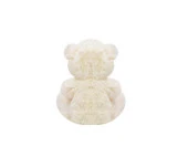 Kalpli Ayı 28 cm Pelüş Ayı Sevgiliye Hediye thumbnail 3