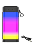 Usb Şarjlı Renkli LED Işıklı 1200 mAh 5W Portatif Müzik Sistemli Mini El Tipi Hoparlör - 11
