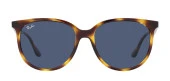 Ray-Ban RB4378 710/80 54 Unisex Güneş Gözlüğü - 1