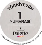 Schwarzkopf Palette Göz Alıcı Renkler 0-00 Yoğun Renk Açıcı Saç Boyası - 4