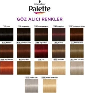 Schwarzkopf Palette Göz Alıcı Renkler 0-00 Yoğun Renk Açıcı Saç Boyası - 5