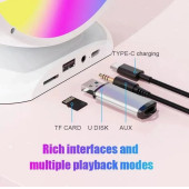 YS 110 RGB LED Işıklı Karaoke Mikrofonlu Taşınabilir Kablosuz Hoparlör - 4