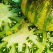 Xanadu Green Goddess Domates Tohumu (15 tohum) - 2