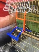 Yıldırım Kuş Aynalı Salıncak thumbnail 2